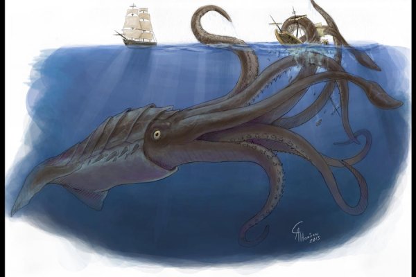 Kraken площадка