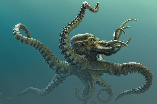 Ссылка на kraken at