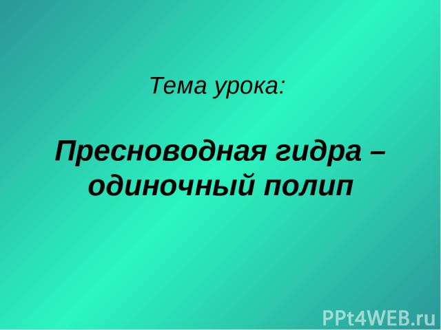 Kraken market ссылка