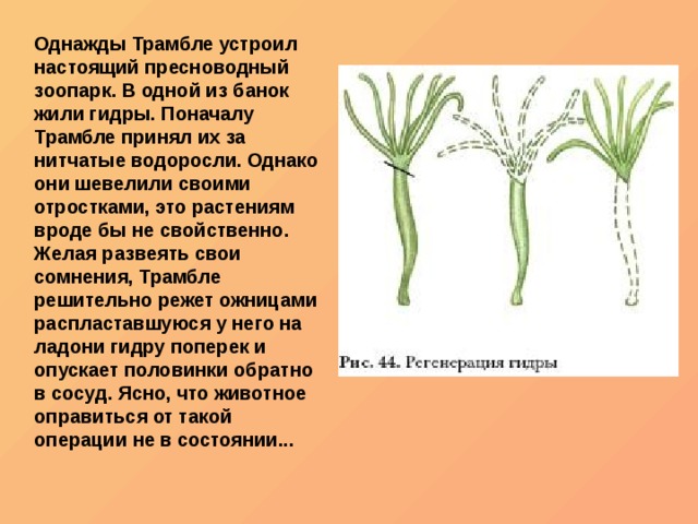 Кракен не заходит