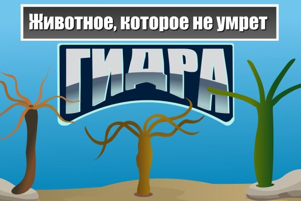 Можно вывести деньги с кракена